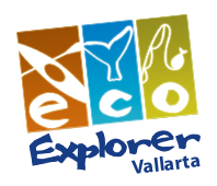 EcoExplorer